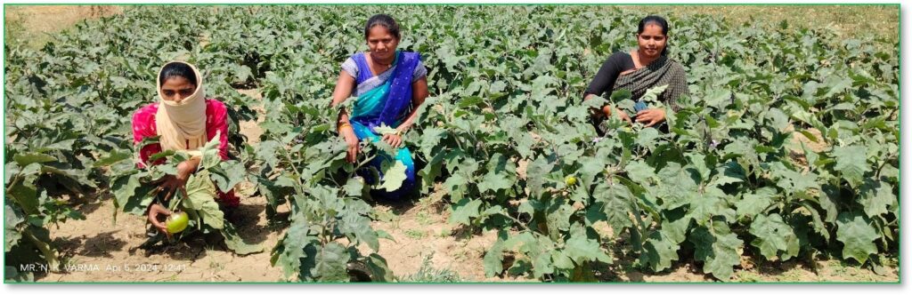 Youth farmers Group - Bihar