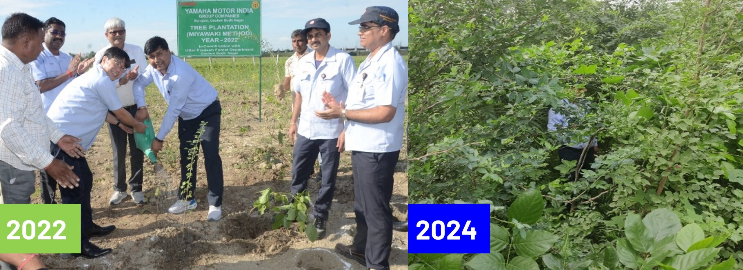 Miyawaki Tree Plantation Wetland Buffer Zone 1 in Greater Noida [1]