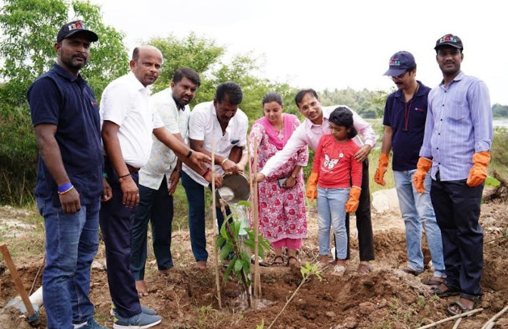 planting