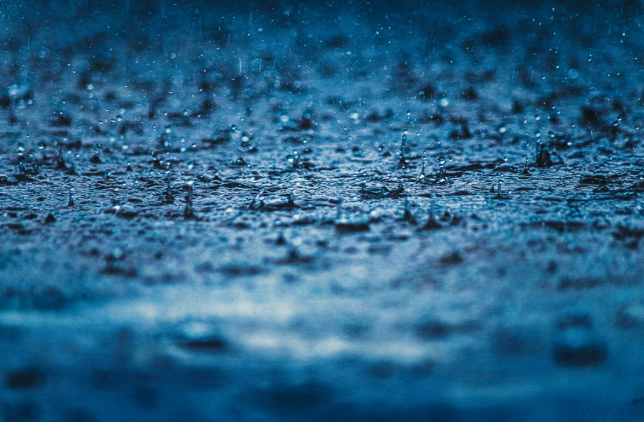 Odisha’s Monsoon Rainfall Surges Past 1,000 mm, State Records 28 pc Surplus